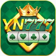 Image for YN777