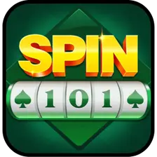 Image for SPIN 101